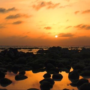 Meet your Posher, Nina